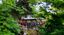 HANAMI Orto Botanico | 4 aprile 2026