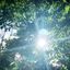 Solstizio d’Estate: la magia della Luce nel giorno più lungo dell’anno!
