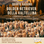 Quinto Raduno Golden Retriever della Valtellina