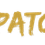 Custom Pactch