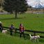 passeggiate a 6 zampe (passeggiate cinofile)-presso la Riserva Naturale Pian di Gembro