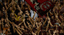 SALERNITANA vs FROSINONE SERIE BKT