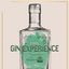 ROMA GIN EXPERIENCE II 8Marzo