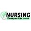 Nursing Essay Writer