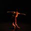 Refreshed oranges into the ocean – [Tendance Festival 2022]