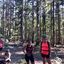 Vallombrosa, la foresta dei monaci