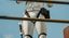 May the 4th be with you