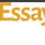 Essay Writer NZ