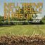 Nell’Arena delle balle di paglia – Martedì 19 luglio – Museo Pasolini con Ascanio Celestini