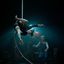 La Dolce Follia – Compagnia Teatro delle Foglie