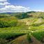 Montalcino: escursione fra il Brunello e l’Abbazia di Sant’Antimo