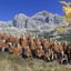 100 ANNI DI GRATITUDINE