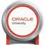 Oracle 1Z0-082 Practice Questions: What Makes This Exam Difficult?
