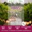 PicNic InVigna sotto le stelle – Azienda Agricola Aldo Adami – Custoza