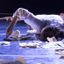CORTI DI DANZA