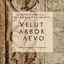 Velut arbor aevo. Come l’albero che cresce… CERIMONIA di APERTURA