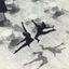 Il Grande Risveglio – La Fotografia italiana dal secondo dopoguerra agli anni 80 – 17 SETTEMBRE 2021