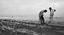Sognando Paul Strand: la “Straight Photography”, il Realismo in Bianco e Nero e…Cesare Zavattini! – NUOVA DATA 2
