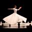 GIRA GIRA. DANZA LA VITA