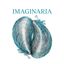 22 AGOSTO – GIARDINO