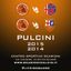 Pulcini 2015 e 2014