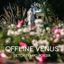 OFFLINE VENUS – Digital detox, tempo e poesia in Villa MOSCHENI VOLPI
