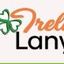 Ireland lanyards