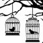 Osteria degli uccelli in gabbia – 06 Settembre 2019