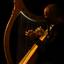 WHISKT TRAIL in concerto