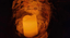 STARLIGHT CANDLE CONCERT