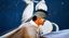 IO, DON CHISCIOTTE – Henna Teatro e arte