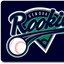 Warriors vs Athletics Novara -Serie C Baseball Seniores – stagione 2026