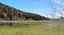 passeggiate a 6 zampe (passeggiate cinofile)-presso la Riserva Naturale Pian di Gembro