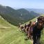 Trekking attorno al Monte Gennaio