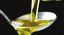 2° Corso di Sommelier dell’Olio Extravergine di Oliva @Bologna