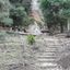 IL BOSCO DEL CAPPELLIERE, RISERVA DI CACCIA BORBONICA