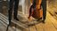 Shana Aleph 2024 | Dalla Sardegna all’Argentina… in Musica