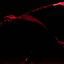 FALLEN ANGELS
