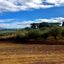 Sulle orme di Isabella de’ Medici a Cerreto Guidi