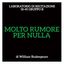 Molto rumore per nulla