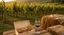 VINerdì | SUN DOWN WINE UP