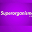 SUPERORGANISMO @ Angelo Mai
