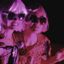 Wunder tandem duo in concerto @ Angelo mai