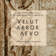 Velut arbor aevo. Come l’albero che cresce… CERIMONIA di APERTURA