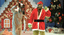 IL GRINCH e IL Natale Restituito