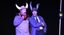 BOEF & ASEN – Rassegna Capriole tra le Stelle