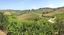 San Sano e Castello di Ama