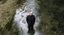 Teho Teardo – Music for Wilder Mann live