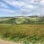 Panzano, la «Conca d’Oro del Chianti»
