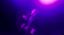 HOUSE – 1° studio | Festival Entrature > Sonore